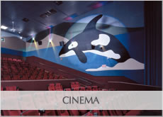 Crestone Acoustical Cinema Solutions