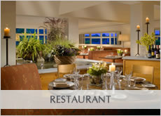 Crestone Acoustical Restaurant Solutions